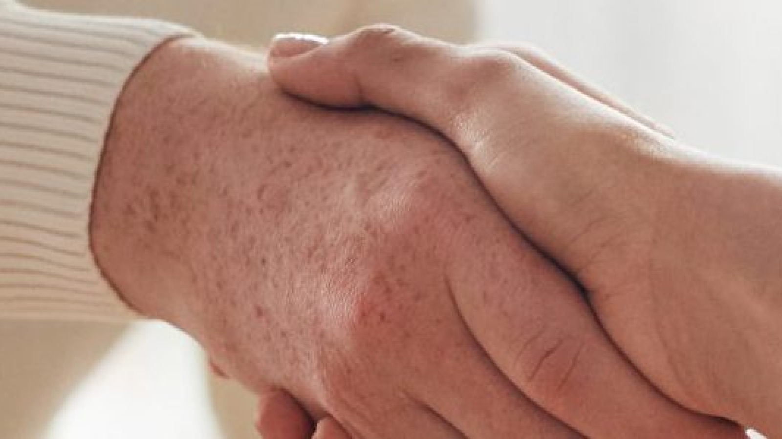 pexels-fauxels-3184465