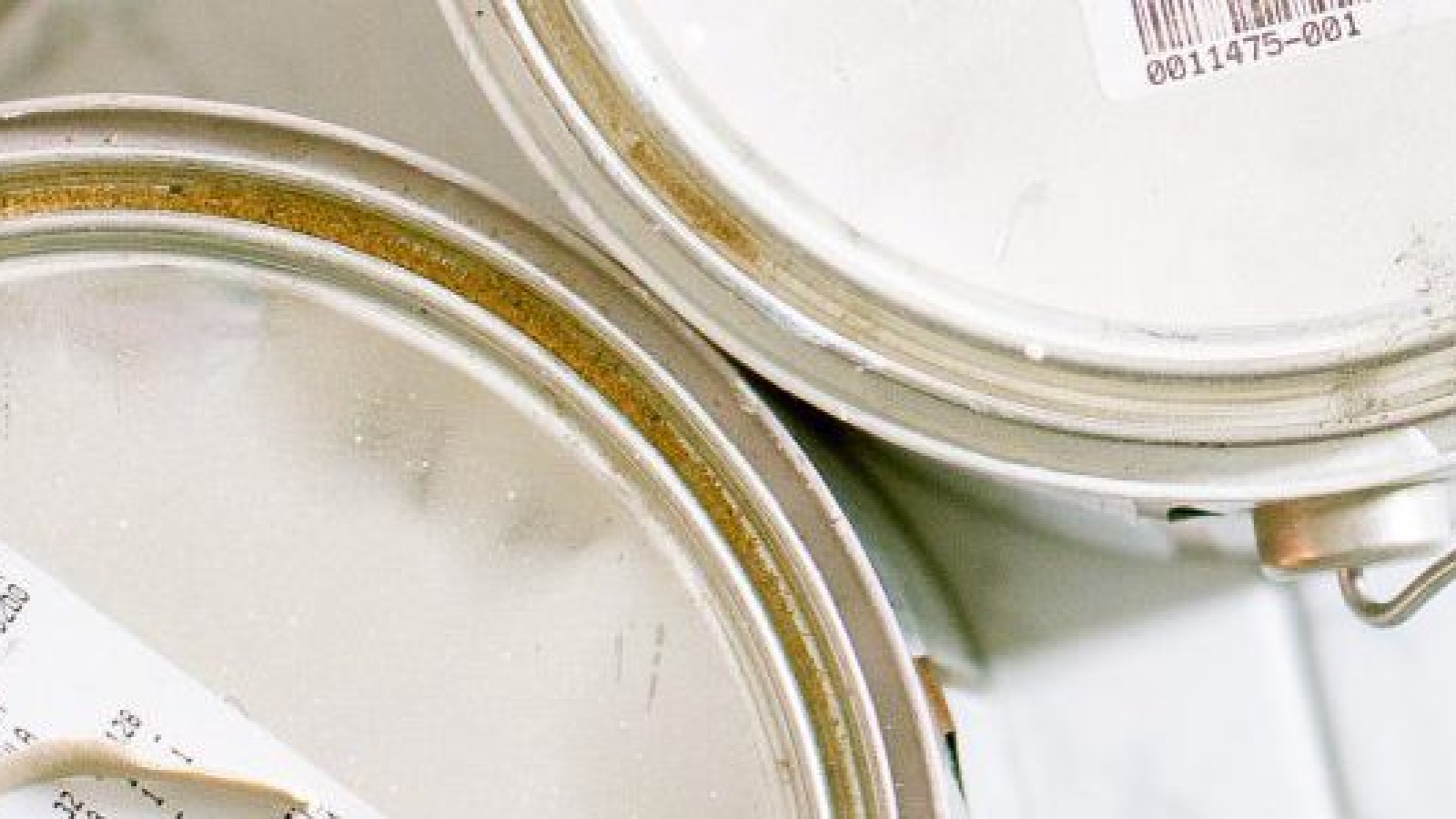 pexels-la-miko-3616760